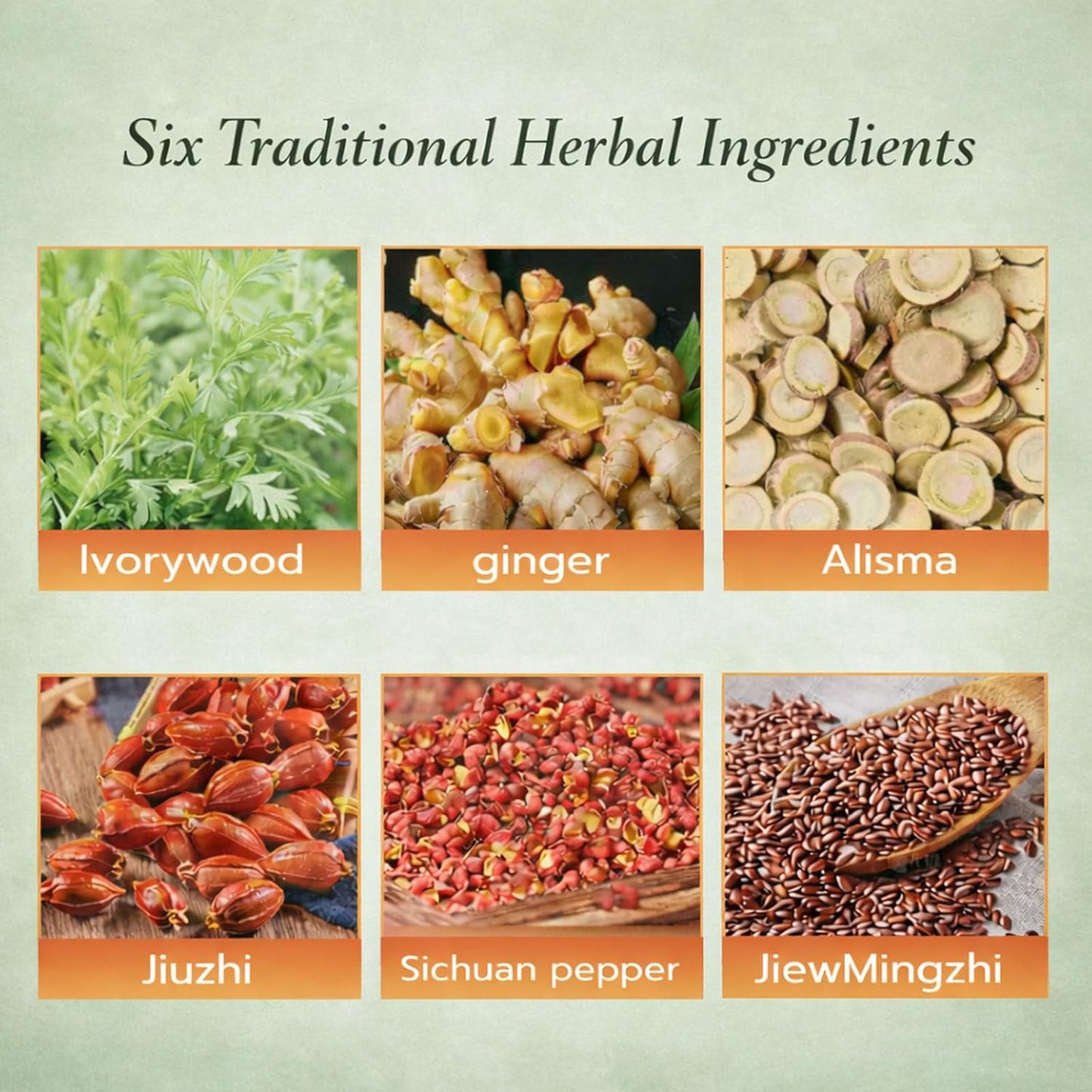 Natural Plant‑Based Patch That Targets Belly Puffiness!